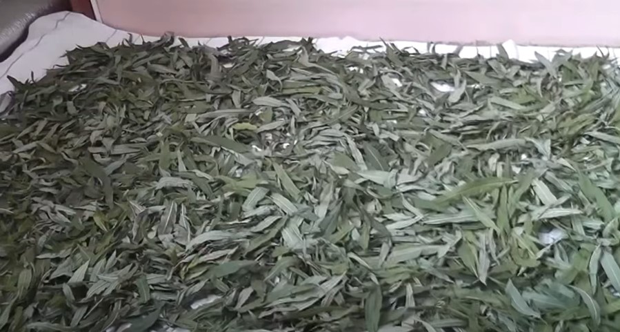 Подготовка листьев к ферментации